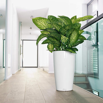 Rondo Self Watering White Planter, made in Germany | Spencer Interiors